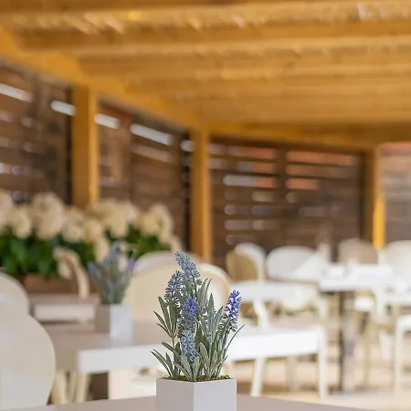 Mercure E Hotel Olbia
